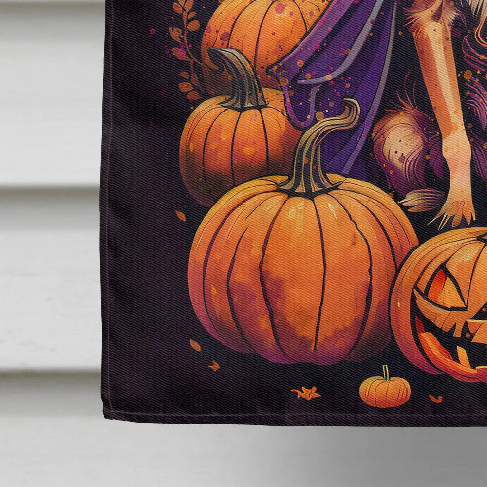 Chihuahua Witchy House Flag